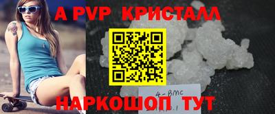 круглые Кингисепп