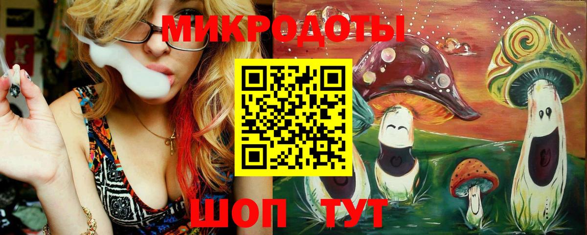 Галлюциногенные грибы Psilocybe Курчатов